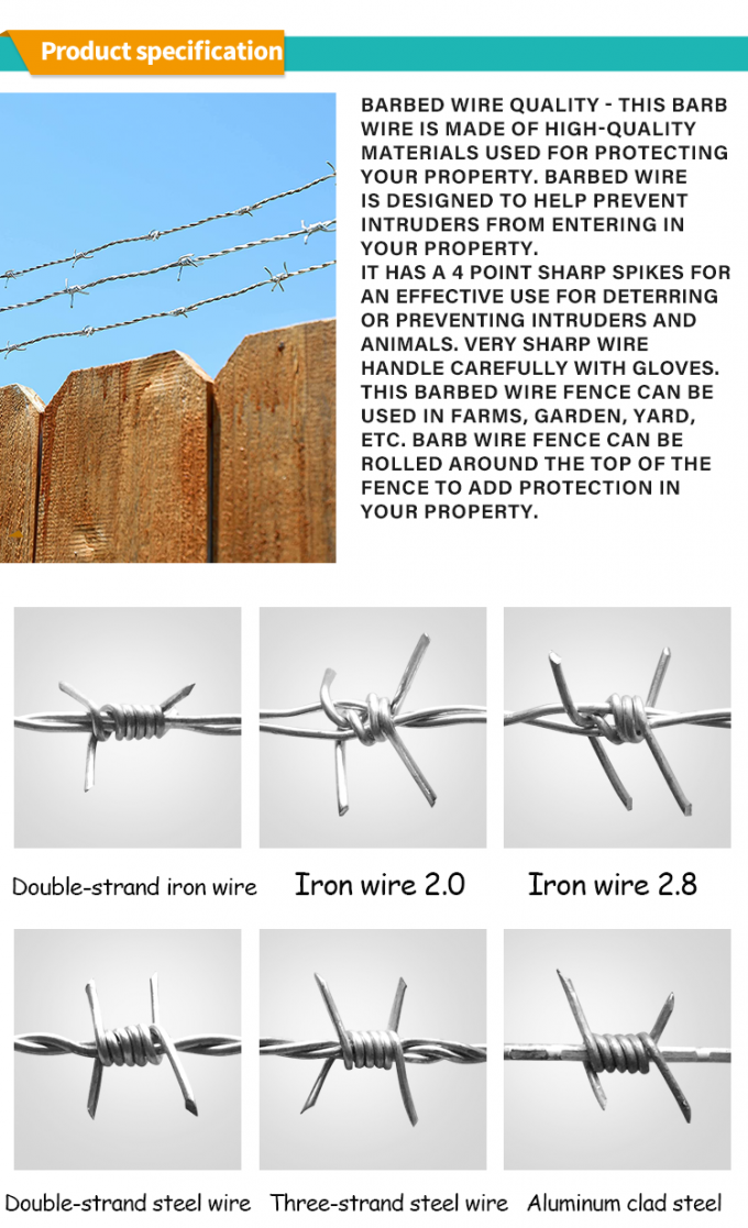 20240125181131_53378