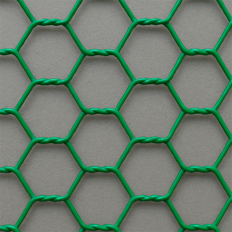 Hexagonal Wire Mesh – Durable Fencing for Poultry