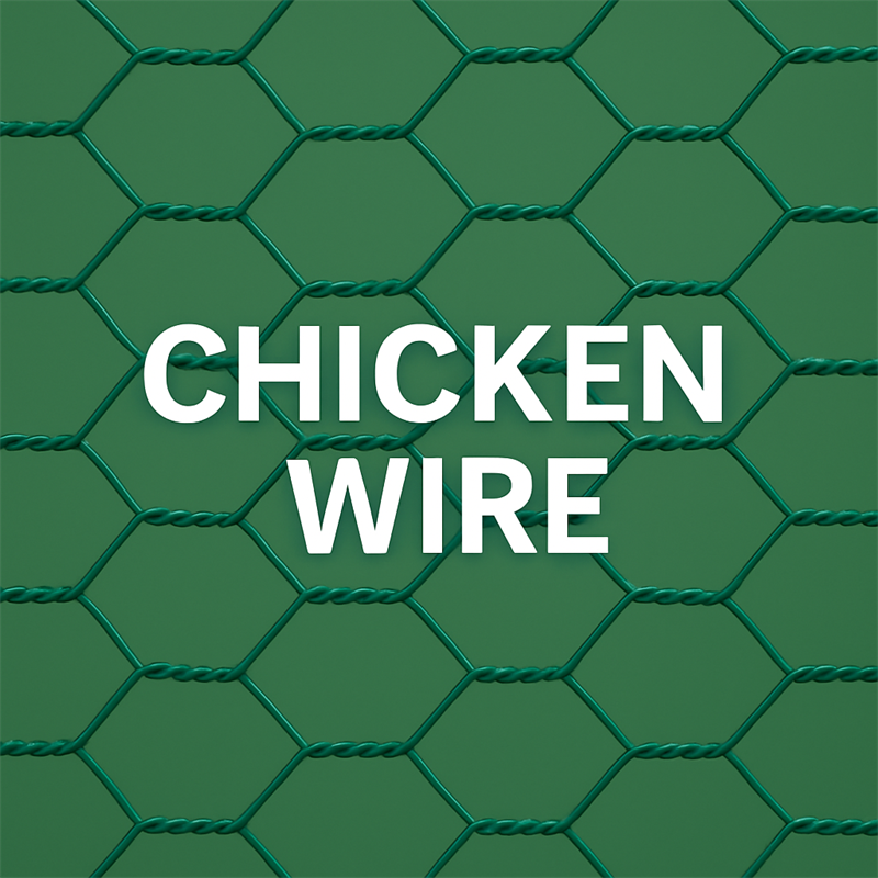 Wire Mesh Chicken Wire – Galvanized & PVC Coated | 0.5–2.0mm Wire, 10–200m Rolls