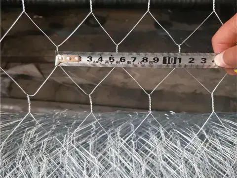 SS/Galvanized Poultry Farm Chicken Wire Netting